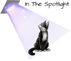 an in the spotlight gift